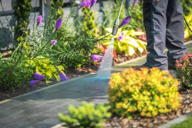 Best Winterizing Services  in League City, TX